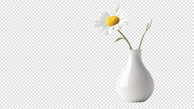 Elegant vase à fleurs en céramique lisse avec une seule fleur éblouissante pour la décoration de la maison et les arrangements floraux