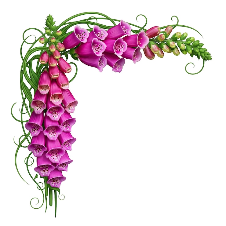 PSD elegante arranjo floral de foxglove