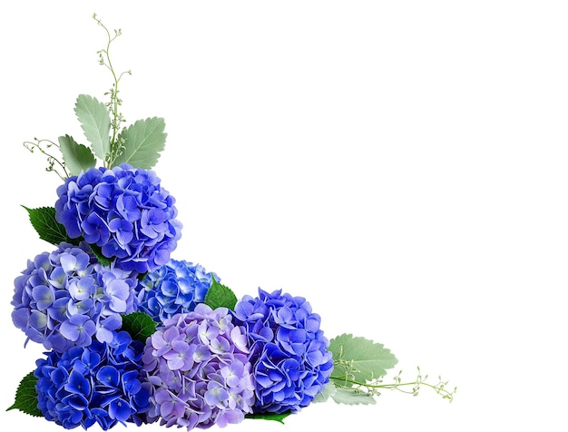 Elegante arreglo de esquinas de vibrantes hortensias azules y púrpuras