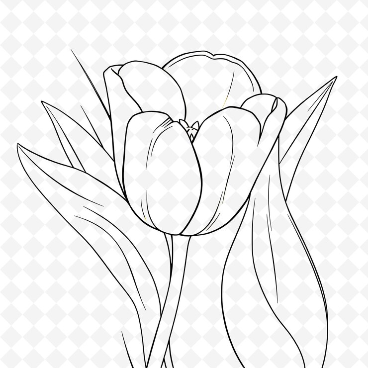 PSD elegante dibujo de tulipanes en blanco y negro