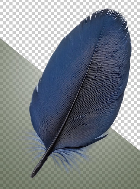 Elegante piuma blu poggiata su una superficie liscia tagliata in stock png