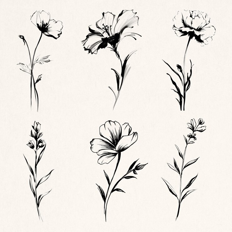 Elegante schwarz-weiße Blumenillustrationen Designelement psd-Set