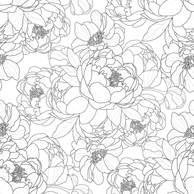 Elegantes Peony Line-Kunstmuster