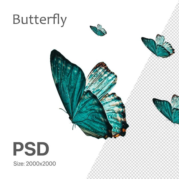 PSD Élément de conception de papillon psd pour la conception de printemps