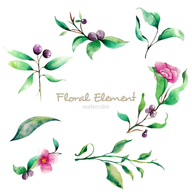 Élément floral de l&#39;aquarelle