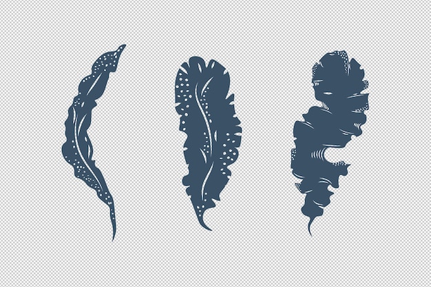 Elementi disegnati alghe monocromatiche blu