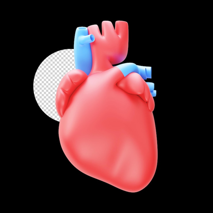PSD elemento 3d de corazón humano azul y rojo contra fondo de círculo negro png