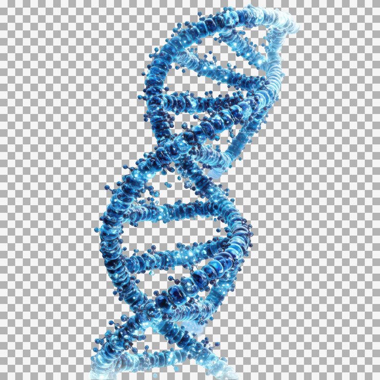PSD elemento della sequenza di dna elicoidale blu 3d isolato su sfondo trasparente
