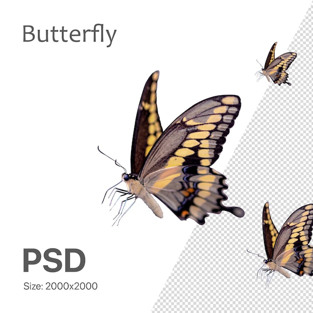 PSD elemento de diseño de mariposa psd para diseño de primavera