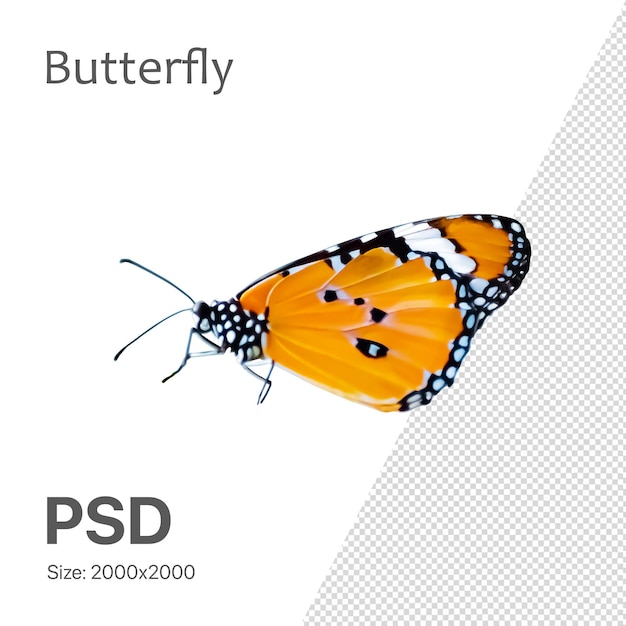 PSD elemento de diseño de mariposa psd para diseño de primavera