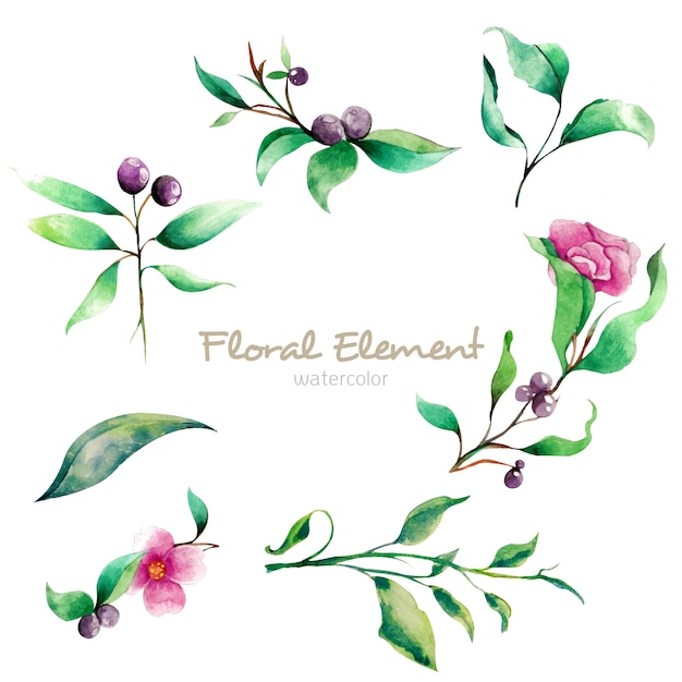 PSD elemento floral de acuarela