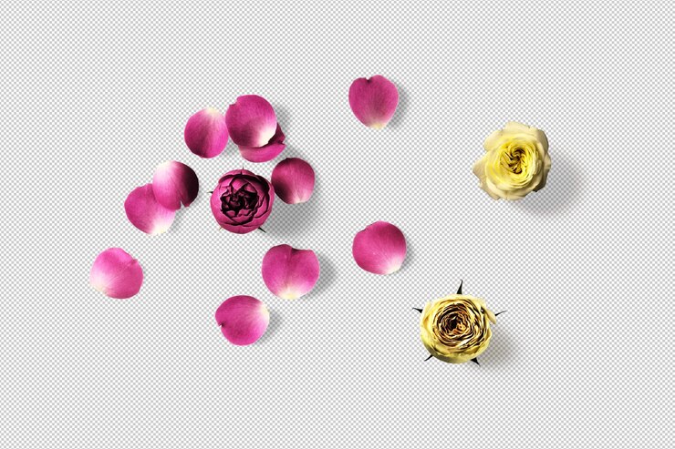 PSD elementos 3d móviles de pétalos y capullos de rosas amarillas y rosadas.