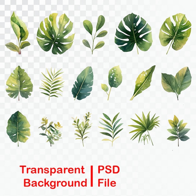 PSD elementos de folha verde de qualidade hd