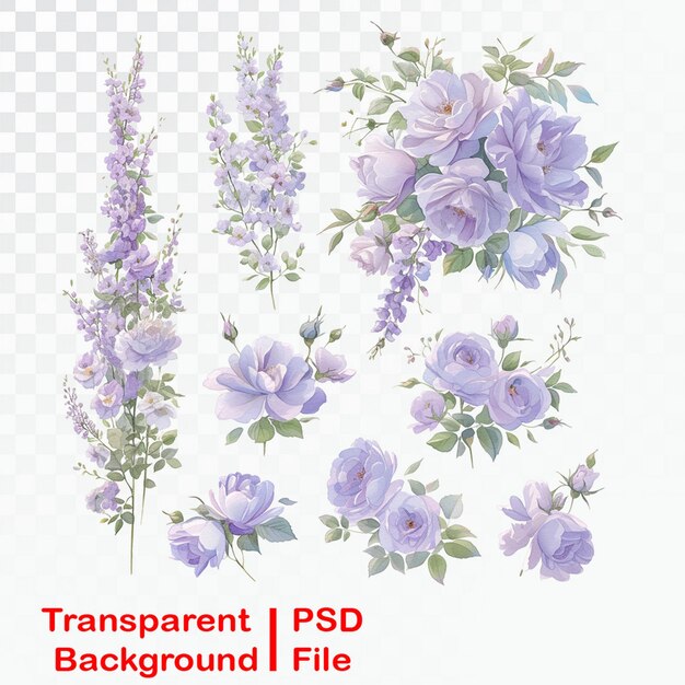 PSD Éléments floraux de qualité hd