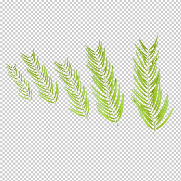 Éléments isolés de plantes 3D