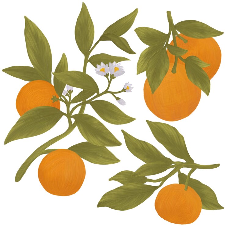 PSD éléments de peinture orange sur une branche