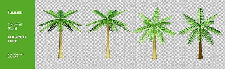 PSD éléments de rendu 3d d'arbre de noix de coco d'été