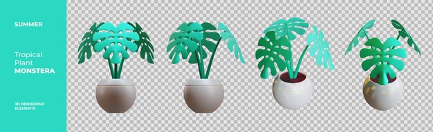 PSD Éléments de rendu 3d de monstera d'été