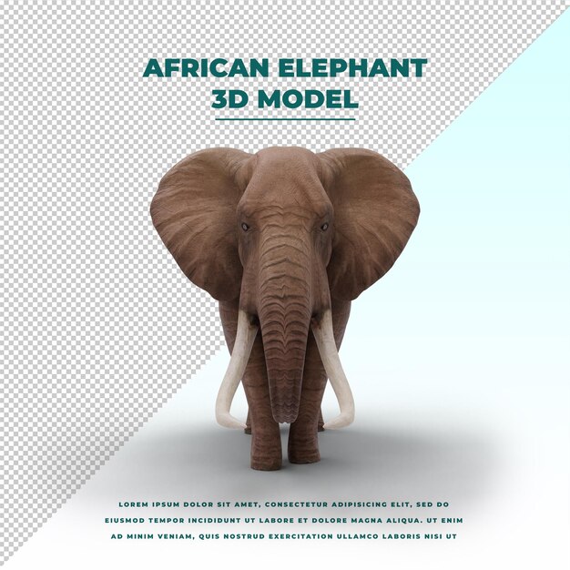 PSD Éléphant d'afrique isolé