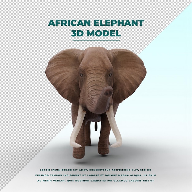 PSD Éléphant d'afrique isolé