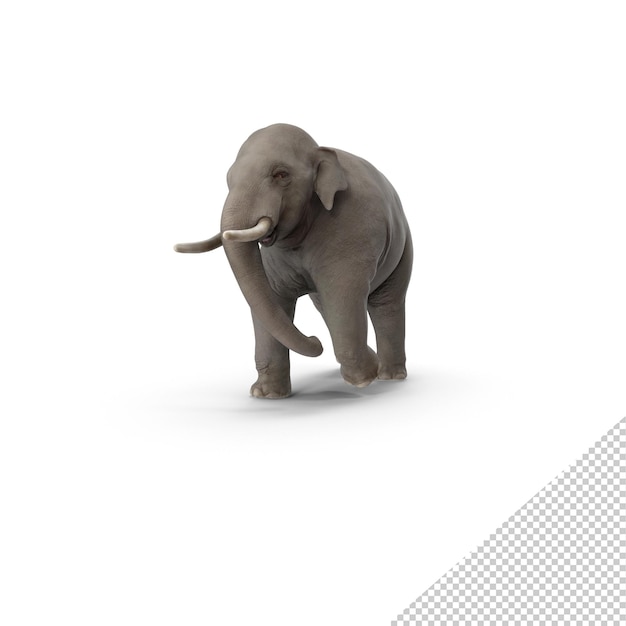 PSD Éléphant d'asie png