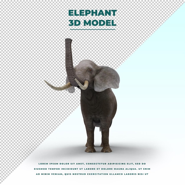 PSD Éléphant isolé