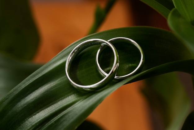 Em close-up no modelo de anel de casamento
