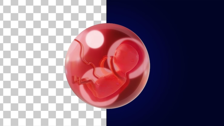PSD embrión humano 5 semanas representación 3d embrión en una bola de cristal concepto de embarazo o parto