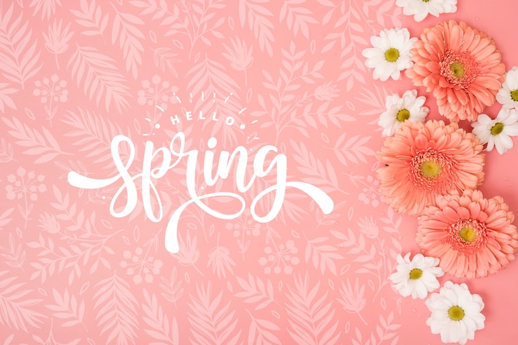 PSD endecha plana de margaritas de primavera