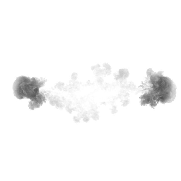 ENF 3