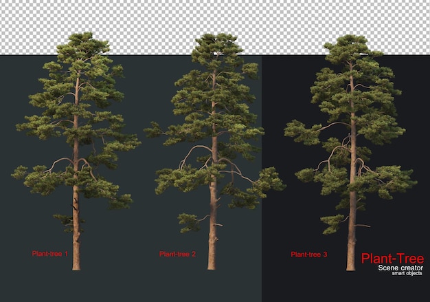 Un ensemble d'arbres avec le texte " zone végétale " à gauche.