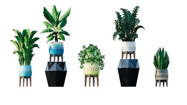 PSD ensemble de beaux pots de plantes pour l'illustration avec un fond transparent