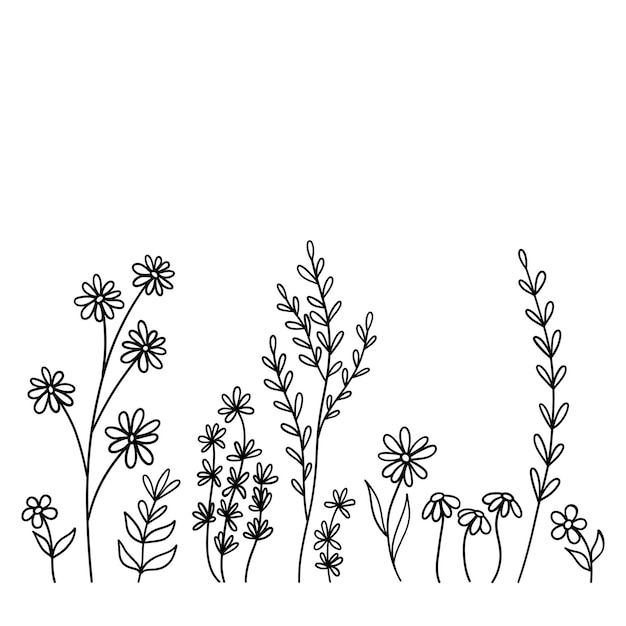un ensemble de branches avec des feuilles dessinées à la main.