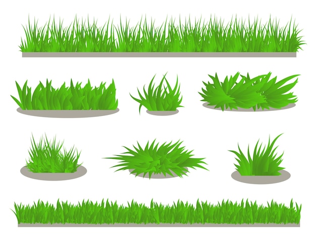 un ensemble d'herbe verte
