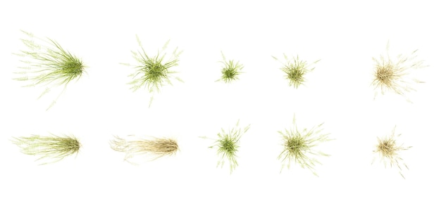 un ensemble d'herbes de plage américaines rendu à partir de la vue supérieure illustration 3D