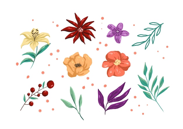 Ensemble d'illustrations de fleurs sauvages colorées sans couture isolées sur fond blanc