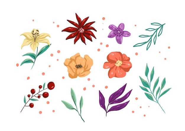 PSD ensemble d'illustrations de fleurs sauvages colorées sans couture isolées sur fond blanc