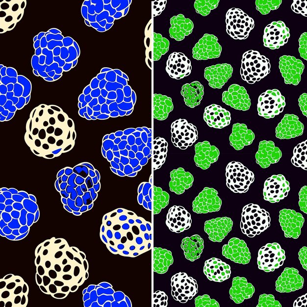 Un Ensemble D'images De Raisins Bleus Et Verts Sur Un Fond Noir