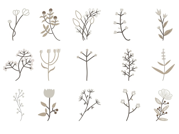 Un ensemble de modèles PSD de collection de fleurs et de feuilles