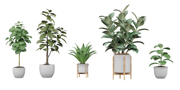 Un ensemble de plantes en pots avec une inscription "verte" dessus