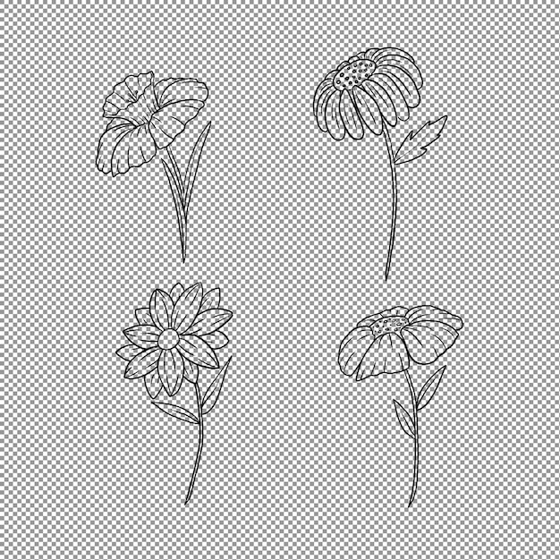 Ensemble De Quatre Dessins De Fleurs Dessinés à La Main