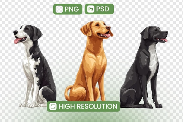 Entdecken Sie verschiedene Hunderassen Ein visueller Leitfaden für Hundegefährten, die verschiedene Pelze und Farben erforschen High-Resolution PNG- und PSD-Dateien für digitale Künstler und Grafikdesigner enthalten
