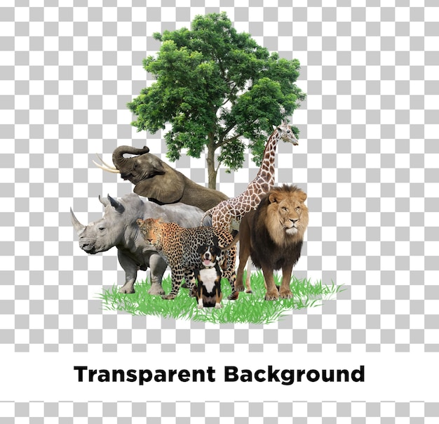 Environnement animal de la jungle et de la terre