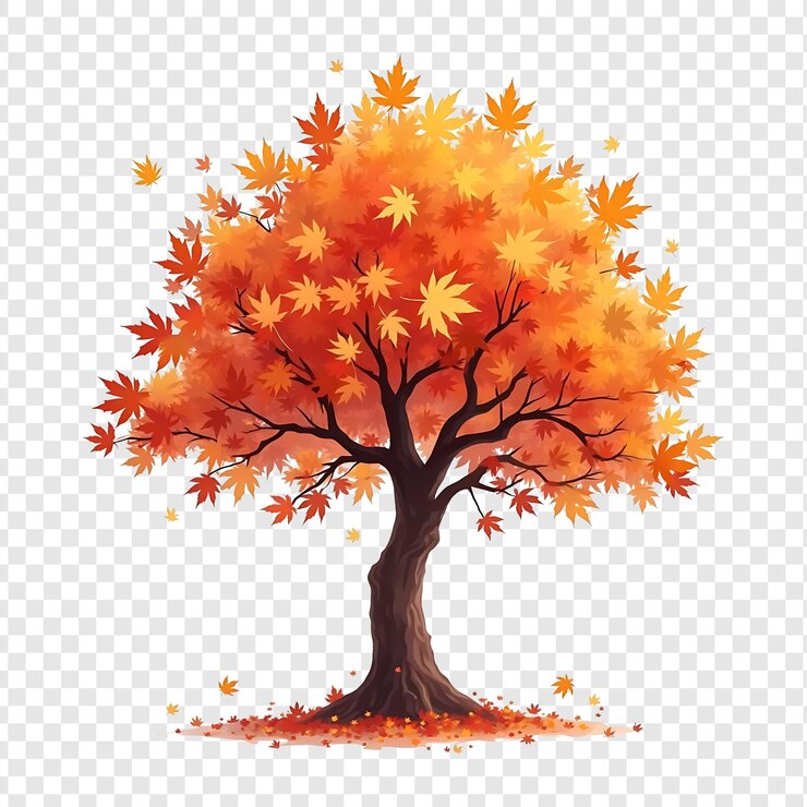 PSD un érable avec des feuilles dessus
