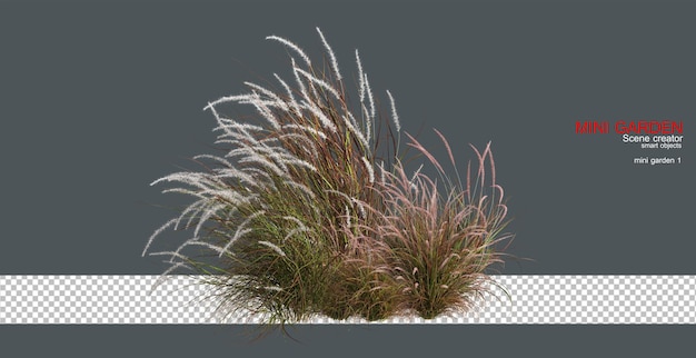 Erba con fiori colorati su sfondo trasparente