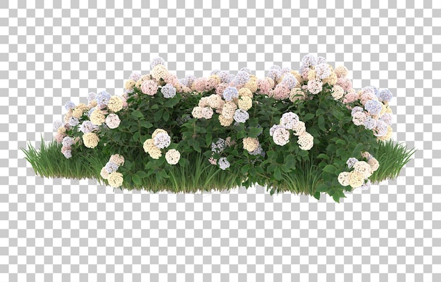 Erba e fiori su sfondo trasparente. rendering 3D - illustrazione