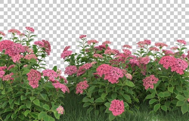 Erba e fiori su sfondo trasparente. rendering 3D - illustrazione