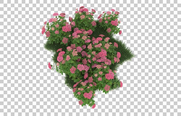 Erba e fiori su sfondo trasparente. rendering 3D - illustrazione