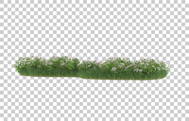Erba e fiori su sfondo trasparente. rendering 3D - illustrazione