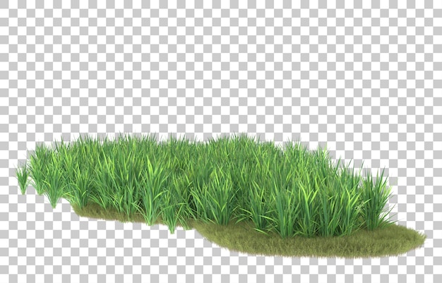 Erba su sfondo trasparente. rendering 3D - illustrazione